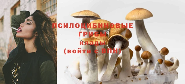 круглые Алексеевка