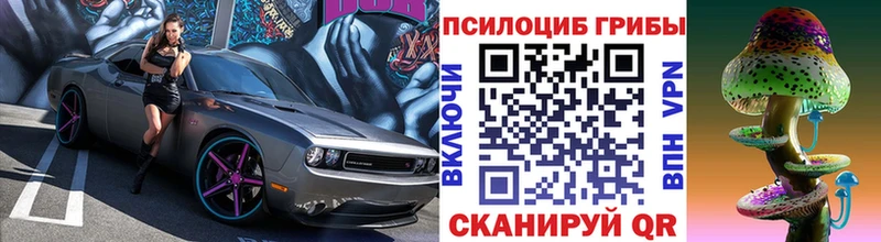 Галлюциногенные грибы Psilocybe  Урюпинск 